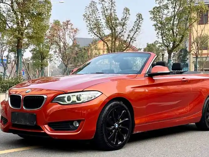 【长沙二手车】2017年2月_二手宝马 宝马2系 2015款 218i 敞篷轿跑车
