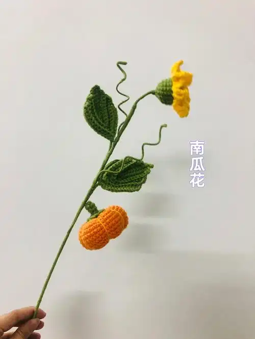南瓜花小白也看得懂的图解
