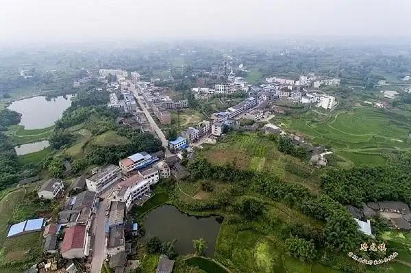 富顺骑龙镇这样做.让村民尝到了甜头!