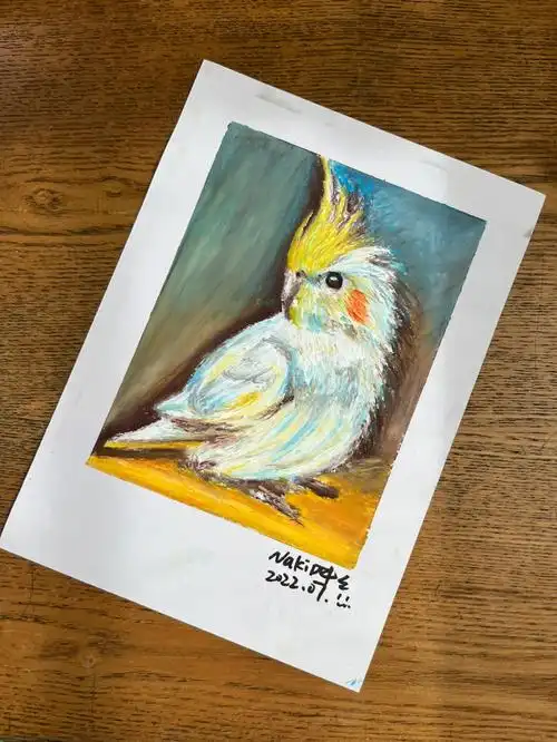 油画棒61鲁本斯一只鹦鹉00附步骤图