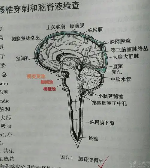 使用《神经病学》(第七版,人卫出版社贾建平,陈生弟