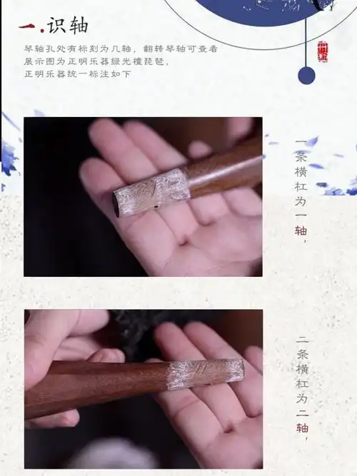 琵琶小白也能学会的上弦教程7575