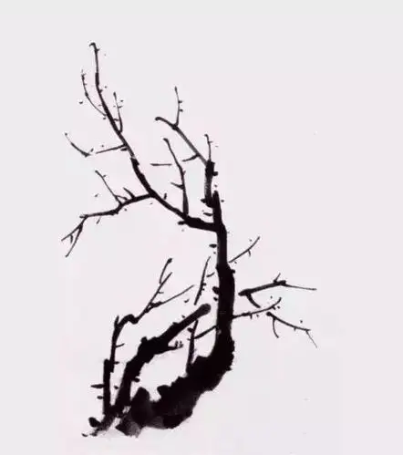 梅花写意画法 多枝穿插画法 多枝布局穿插先取大势之一,关键是看枝干