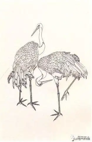 工笔仙鹤《松龄鹤寿》画法步骤