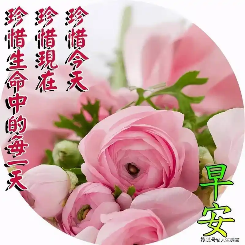 早上好问候祝福带字图片早安心语暖心话短句