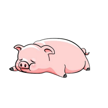 趴着的猪