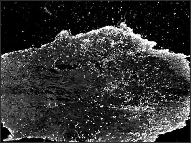 特技特效 : 高清水花四散水流淌动态效果