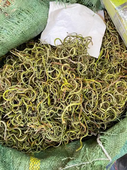 纯天然野生化石草一草破石,还你一身轻松!胆结石!肾结石!尿路结石!