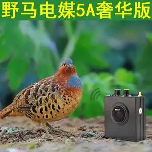新品野马电煤5a奢华版五代无线遥控电媒原装正品5代高配扩音机器