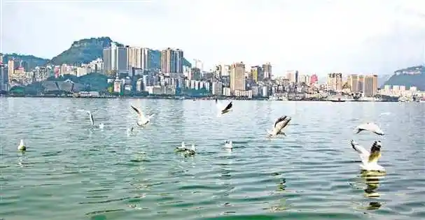 万州擦亮"水碧鱼欢鸟翩跹"的生态底色