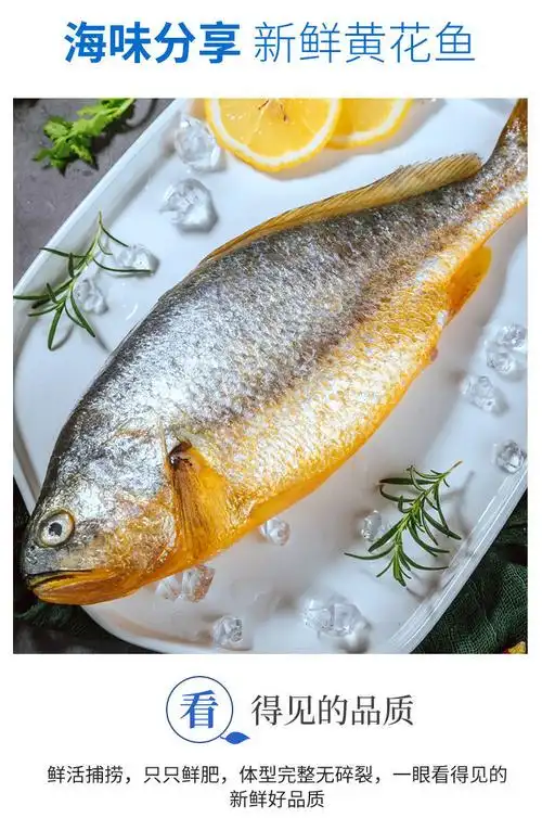 黄鱼新鲜大黄鱼黄鱼鲞鲜活冷冻海鲜福建宁德黄鱼黄鱼稥黄鱼干 黄鱼1斤