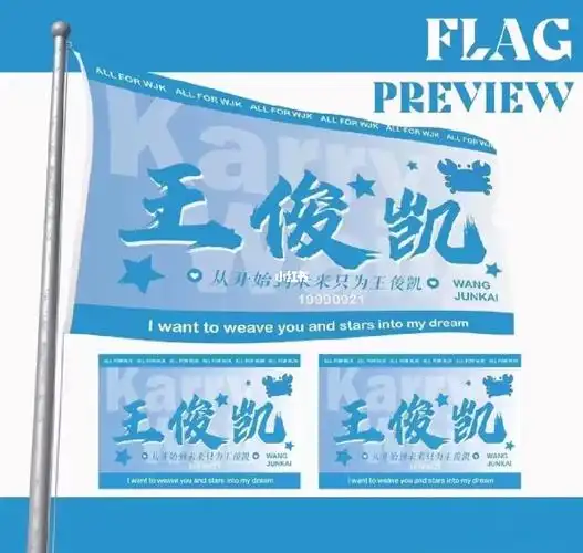 王俊凯应援旗