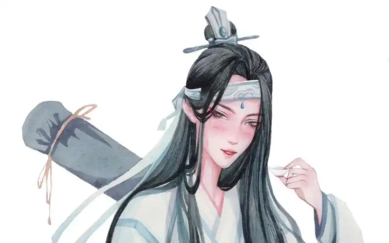 魔道祖师 蓝忘机