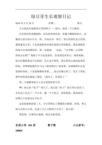绿豆芽生长观察日记