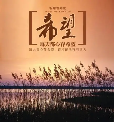 七月廿八日觉醒每天都心存希望你才能生机勃勃