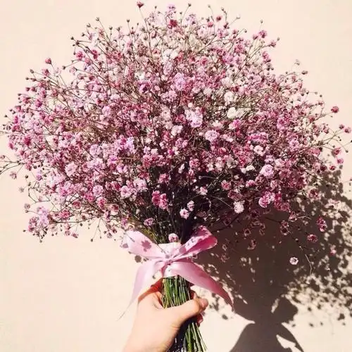 "你知道满天星的花语吗,是甘愿做配角,这些年我怀揣对你的爱就像怀揣