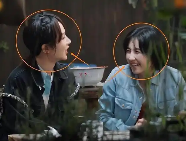 杨紫张一山你给我站住