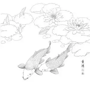 荷花鲤鱼白描底稿