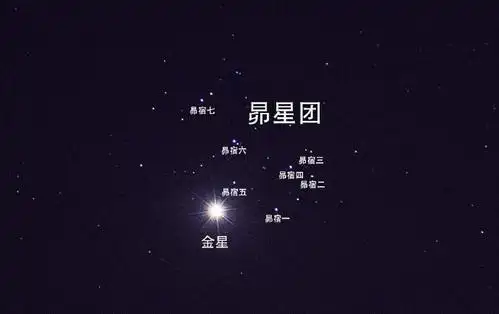 4.3金星合昴宿星团(位置)