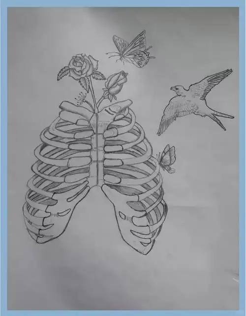 众多精彩解剖绘画,等你来欣赏!