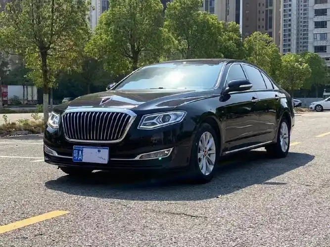 18,新到国产高端品牌红旗h7,2018年上牌2.0t排量