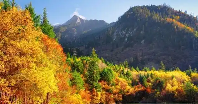 灌阳孝歌文化|蒋百进:劝世文