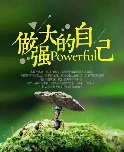 孝亲吃素,强大自己_高清图集_新浪网