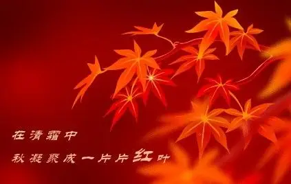 古筝片片枫叶情