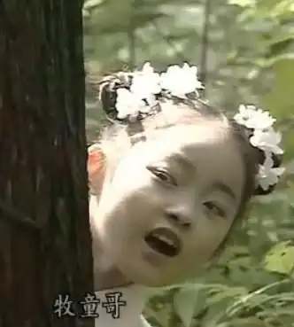 讨论电视台播出【电视剧新白娘子传奇赵雅芝版】误删第一集前一小截