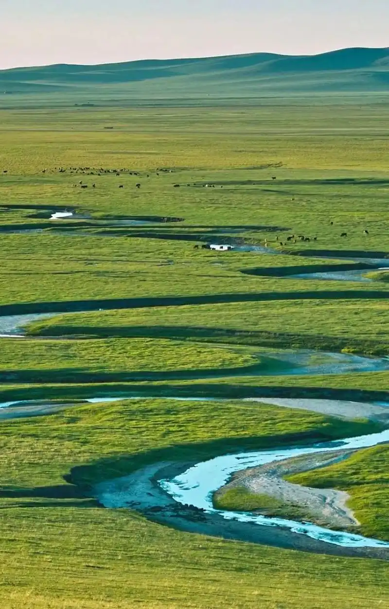 美丽的湿地草原,是内蒙古的一道独特的风景线