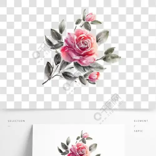 原创手绘水墨风玫瑰花写意花卉素材半年前发布