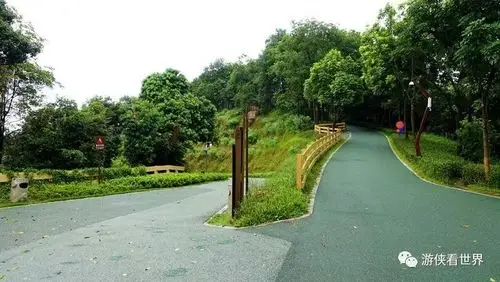 这段绿道基本就是环绕着大水坑水库的,沿途有云隐之森,麦田农家,粉草