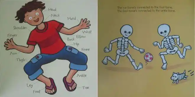 now hear the word of the lord骨头,骨头,干骨头,dem bones, dem