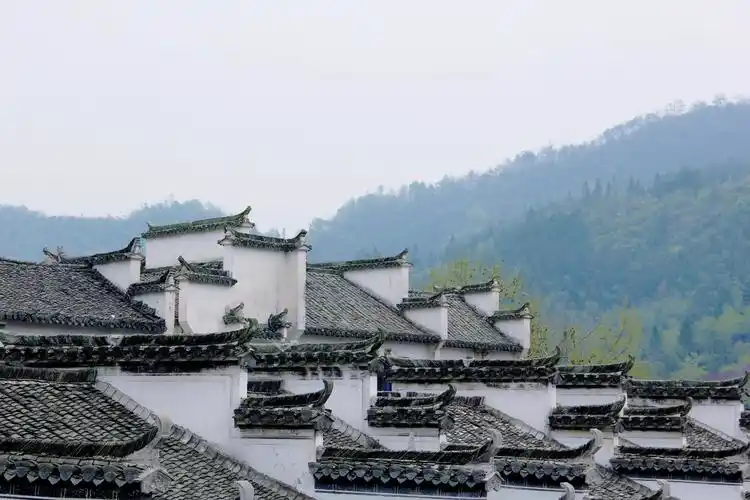 古香古色 白墙黑瓦的徽派建筑-走遍四川-麻辣社区