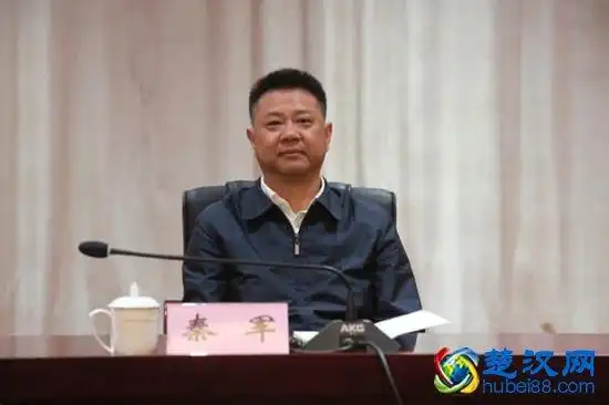 秦军任湖北省商务厅党组成员,书记(图/简历)