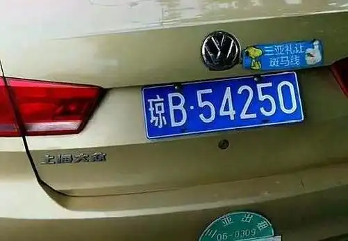 奇葩车牌3689会不会最惨