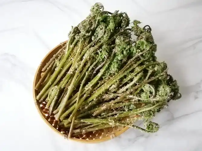 原创在东北有一种山野菜,叫"猴腿菜",你吃过吗?比婆婆丁有营养