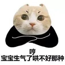 哼宝宝生气了哄不好那种一组可爱的猫咪头表情包猫咪斗图表情