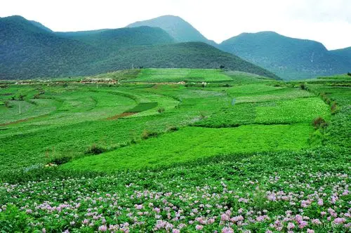 细雨中的绿色坝子