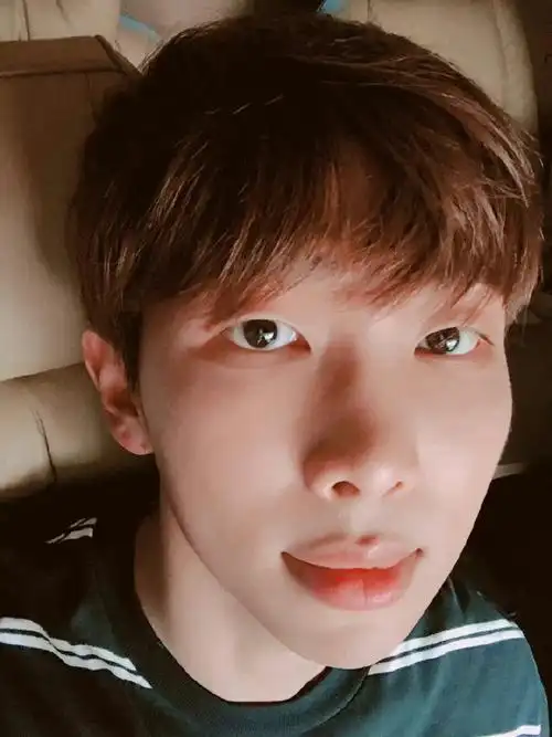 金南俊安利目录##金南俊熊熊蜜罐