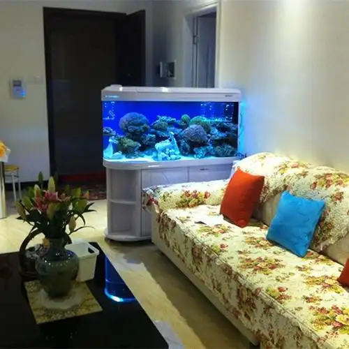 鱼缸放在客厅什么位置最好优质
