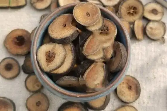 麸炒枳实的功效与作用 麸炒枳实的禁忌 1分钟详细介绍