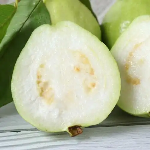 番石榴水果10斤