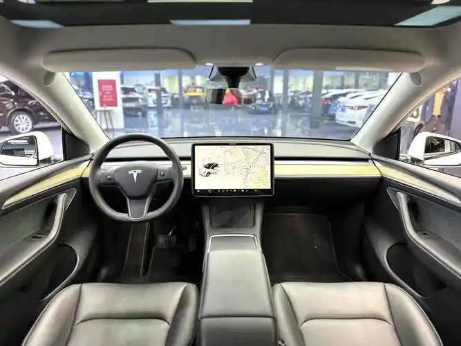 血亏10w的特斯拉model y