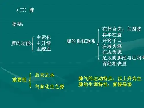 脾_word文档在线阅读与下载_文档网