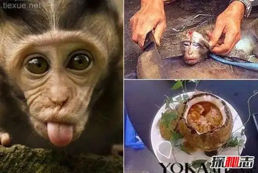 中国十大禁菜婴儿汤,丧尽天良的婴儿大补汤(毫无人性)