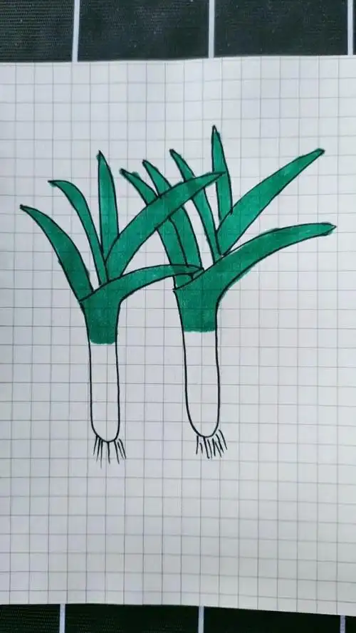 幼儿简笔画,宝宝们喜欢吃葱吗?不能挑食哦