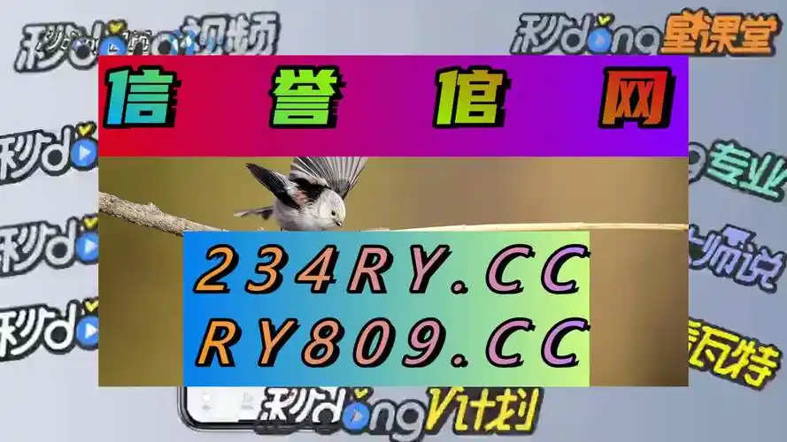1秒了解彩虹多多彩票app下载安装