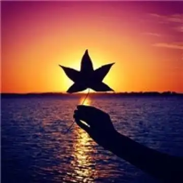 清新可爱植物头像,风景头像图片-回车桌面