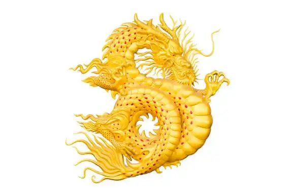 中国新年的白底金龙.图片下载